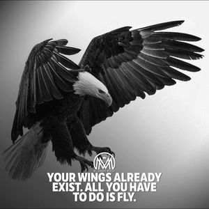 Meet your Posher, Raja